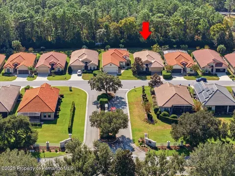 1650 W Lauel Glen Path, Hernando, FL 34442 photo 41