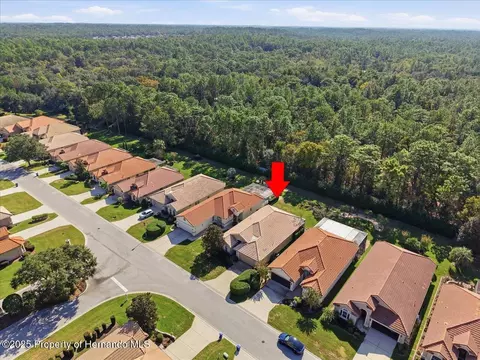 1650 W Lauel Glen Path, Hernando, FL 34442 photo 44