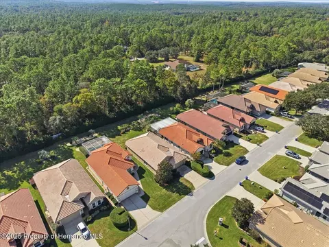 1650 W Lauel Glen Path, Hernando, FL 34442 photo 48