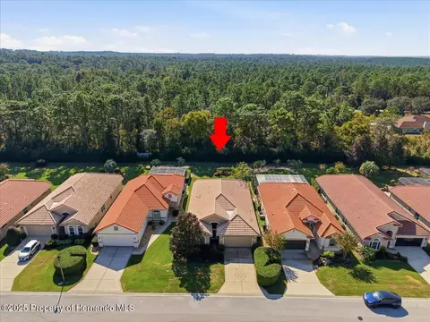 1650 W Lauel Glen Path, Hernando, FL 34442 photo 45