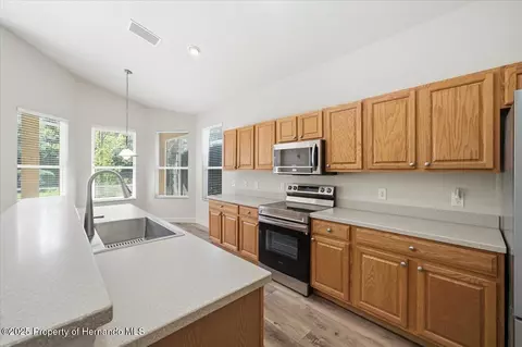 1650 W Lauel Glen Path, Hernando, FL 34442 photo 17