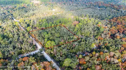 0 Rose Bloom Lot 5 Ave, Webster, FL 33597