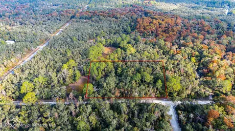0 Rose Bloom Lot 5 Ave, Webster, FL 33597 photo 11