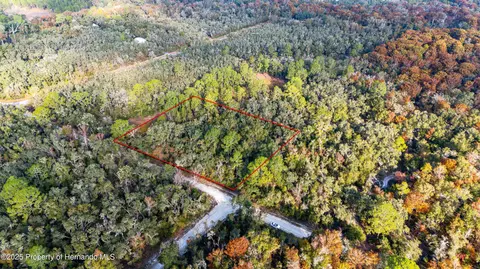 0 Rose Bloom Lot 5 Ave, Webster, FL 33597 photo 12