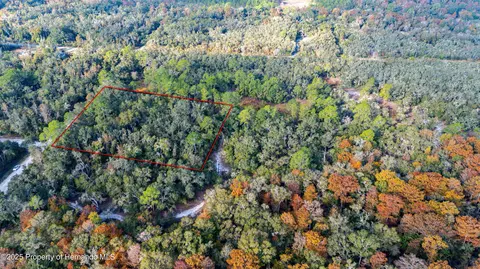 0 Rose Bloom Lot 5 Ave, Webster, FL 33597 photo 7