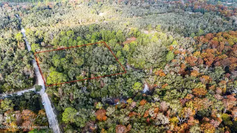 0 Rose Bloom Lot 5 Ave, Webster, FL 33597 photo 8