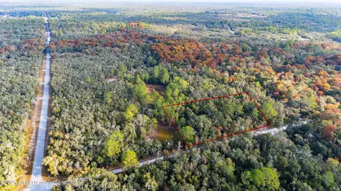 0 Rose Bloom Lot 5 Ave, Webster, FL 33597 photo 10