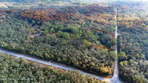 0 Rose Bloom Lot 5 Ave, Webster, FL 33597 photo 2