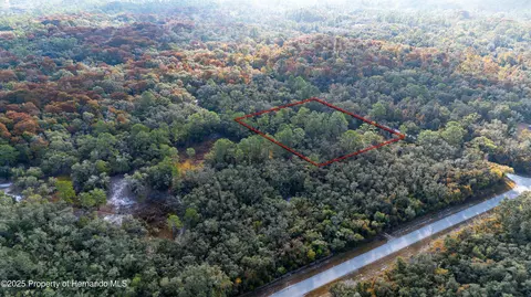 0 Rose Bloom Lot 5 Ave, Webster, FL 33597 photo 4