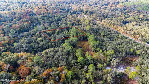 0 Rose Bloom Lot 5 Ave, Webster, FL 33597 photo 9