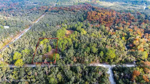 0 Rose Bloom Lot 7 Ave, Webster, FL 33597