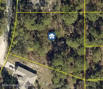 17460 Macek Rd, Weeki Wachee, FL 34614