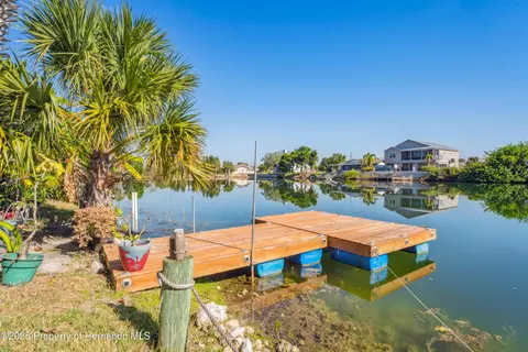 View/Area - 3270 Hibiscus Dr, Hernando Beach, FL 34607 photo 2 of 27