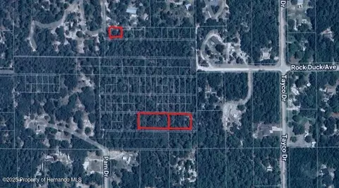 0 Rock Duck Ave, Weeki Wachee, FL 34614