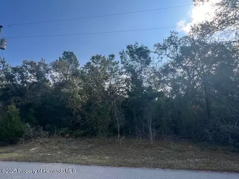3328 Horseshoe Ln, Spring Hill, FL 34606