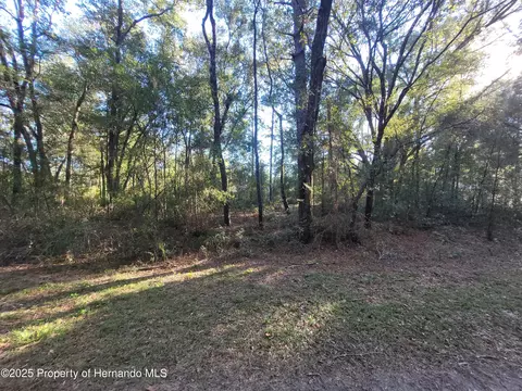 0 SW 22nd Pl, Ocala, FL 34481