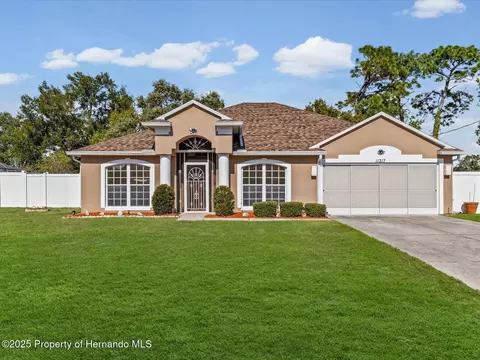 11217 Kangley Ln, Spring Hill, FL 34608