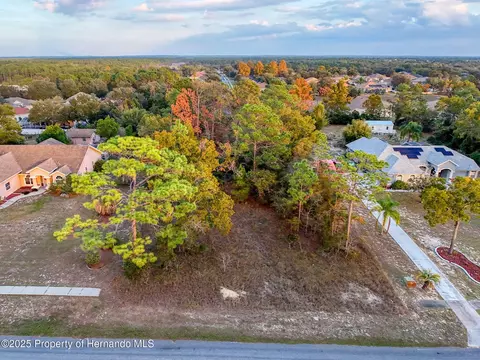 5176 Fenian Dr, Spring Hill, FL 34609