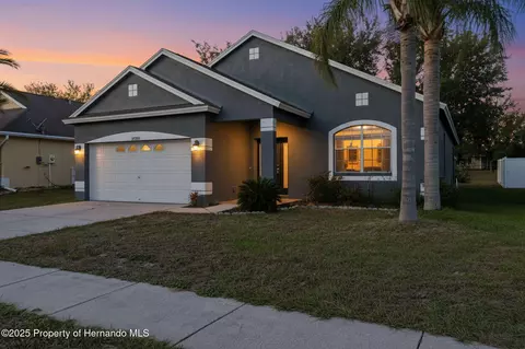 14335 Holly Hammock Ln, Brooksville, FL 34613