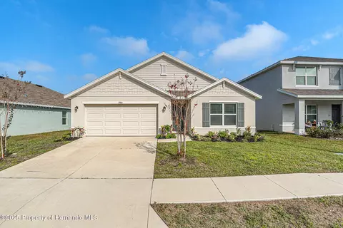 3900 Autumn Amber Dr, Spring Hill, FL 34609
