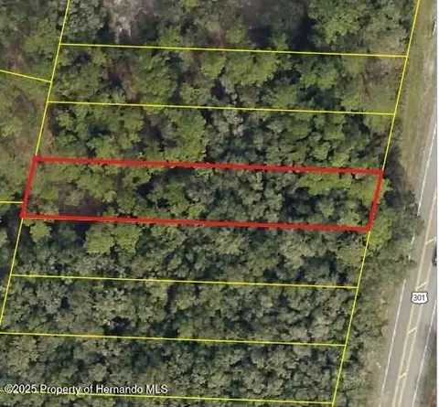 0 Treiman Blvd, Webster, FL 33597