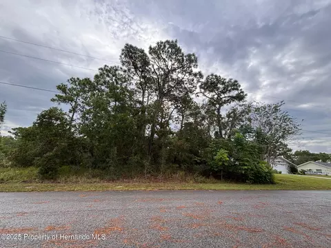lot8 Nuzum Rd, Weeki Wachee, FL 34613