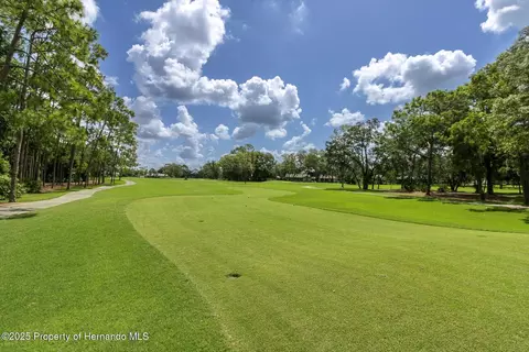 7099 Pond View Ct, Spring Hill, FL 34606 photo 44