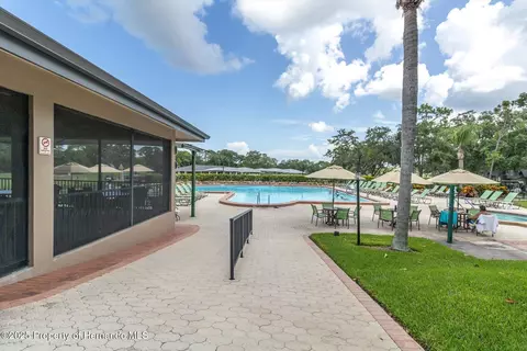 7099 Pond View Ct, Spring Hill, FL 34606 photo 46
