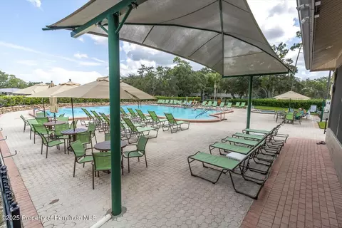 7099 Pond View Ct, Spring Hill, FL 34606 photo 58