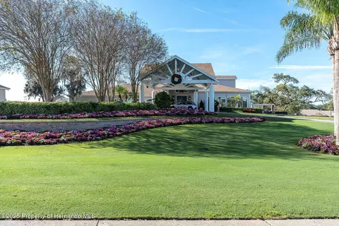 7099 Pond View Ct, Spring Hill, FL 34606 photo 42