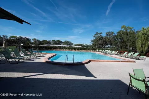 7099 Pond View Ct, Spring Hill, FL 34606 photo 47