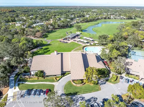 7099 Pond View Ct, Spring Hill, FL 34606 photo 38