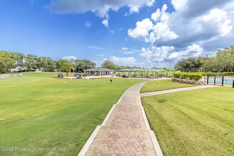 7099 Pond View Ct, Spring Hill, FL 34606 photo 57