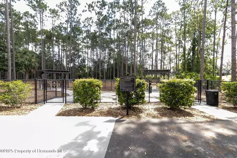 7099 Pond View Ct, Spring Hill, FL 34606 photo 54