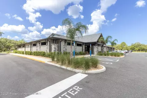 7099 Pond View Ct, Spring Hill, FL 34606 photo 52