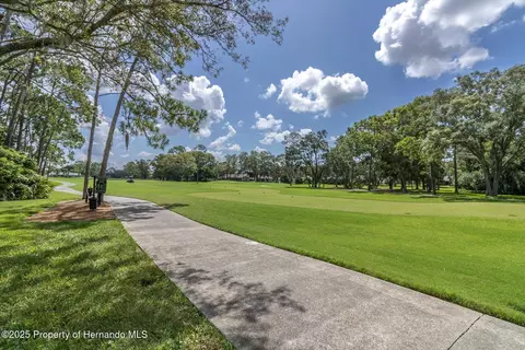 7099 Pond View Ct, Spring Hill, FL 34606 photo 43