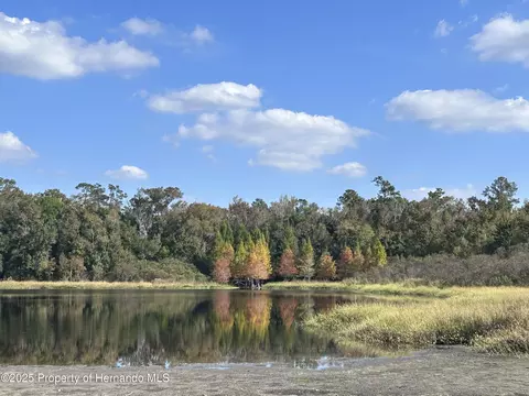 2092 Culbreath #D67, Brooksville, FL 34602