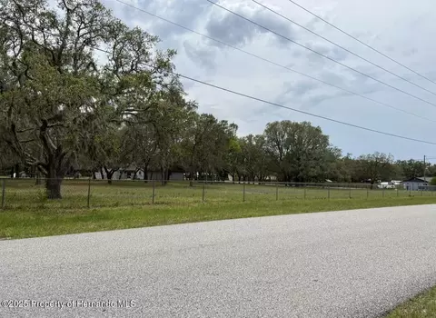 00 Fringe Tree Dr, Shady Hills, FL 34610