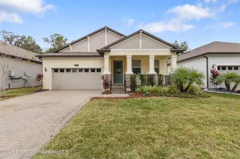 19432 Forest Garden Ct, Brooksville, FL 34601