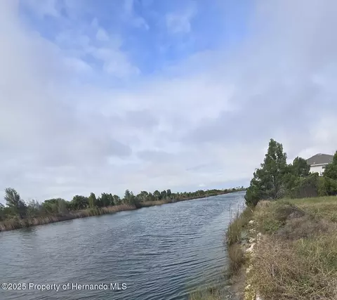 lot19 Lugustrum Dr, Hernando Beach, FL 34607 photo 3