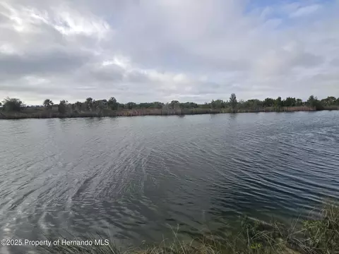 lot19 Lugustrum Dr, Hernando Beach, FL 34607 photo 5