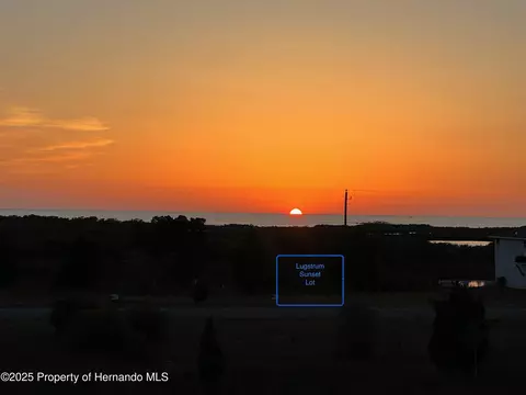lot19 Lugustrum Dr, Hernando Beach, FL 34607