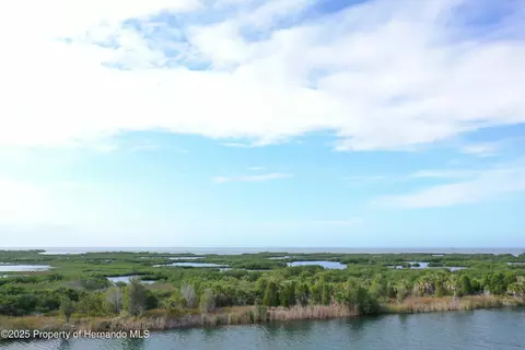 lot19 Lugustrum Dr, Hernando Beach, FL 34607 photo 4