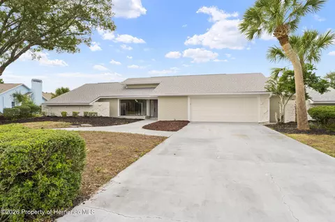 4269 River Birch Dr, Spring Hill, FL 34607