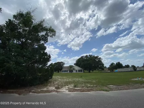 5449 Chestnut Ridge Rd, Dade City, FL 33523
