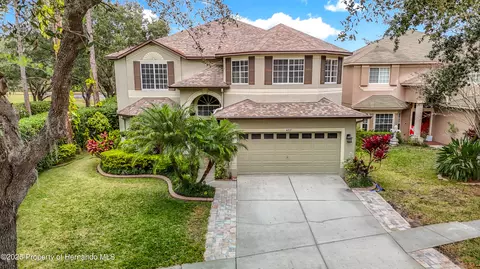 4217 Fishermans Lake Dr, Lutz, FL 33558