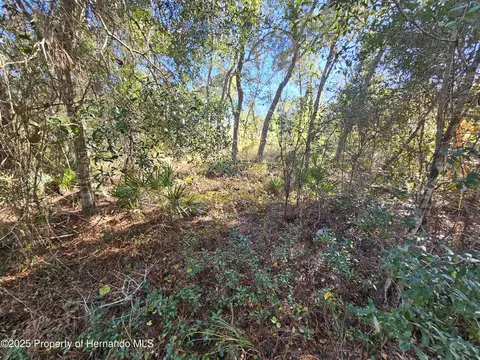 0 Berryhill Dr, Webster, FL 33597 photo 10