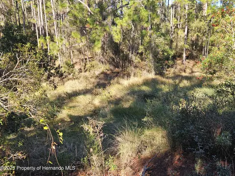 0 Berryhill Dr, Webster, FL 33597 photo 8