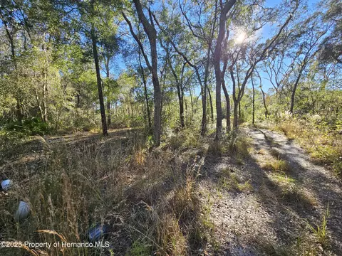 0 Berryhill Dr, Webster, FL 33597 photo 15
