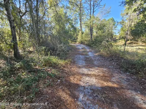 0 Berryhill Dr, Webster, FL 33597 photo 12